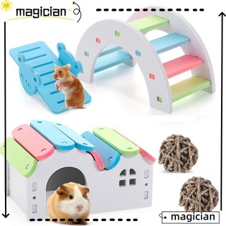 Cầu Đồ Chơi Bằng Gỗ Màu Cầu Vồng Chăm Sóc Răng Cho Chuột Hamster