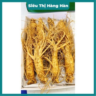 SÂM TƯƠI HÀN QUỐC 1/5;6;7;;9;10 củ