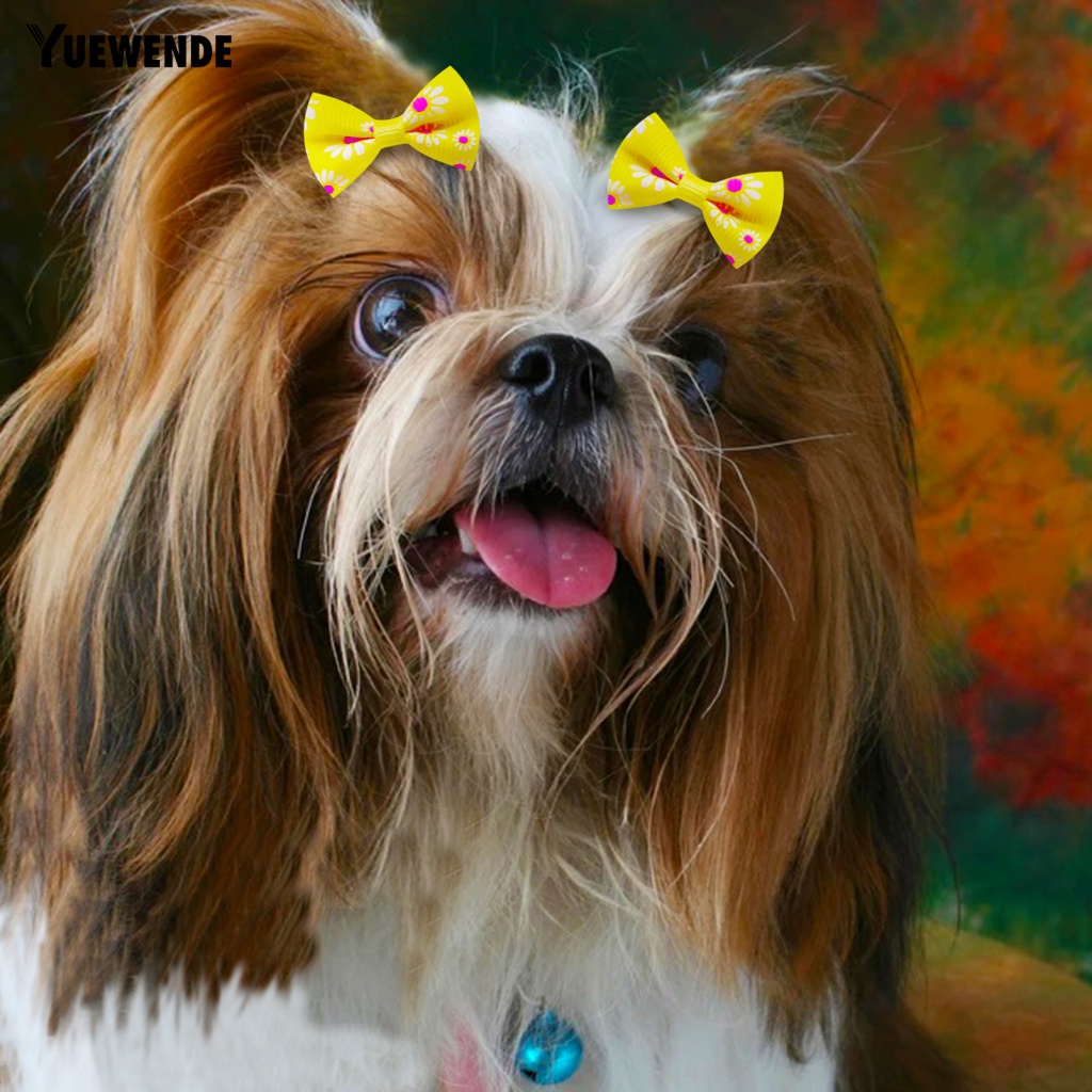 Set 10 Dây Buộc Lông Thú Cưng Co Giãn Màu Sắc Ngẫu Nhiên