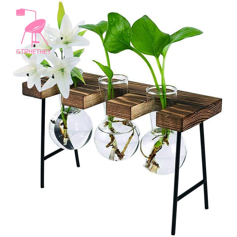 Chậu Trồng Cây Thủy Tinh Kèm Giá Đỡ Gỗ 3 Bóng Đèn Độc Đáo Trang Trí Nhà Cửa / Văn