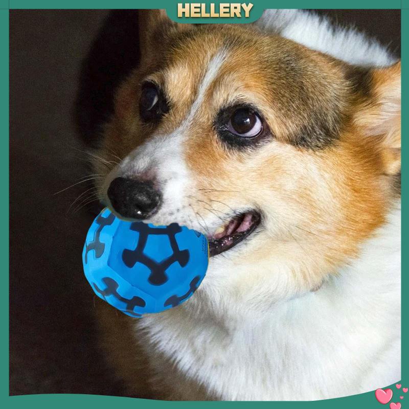 Đồ Chơi Bóng Gặm Tương Tác Siêu Bền Vui Nhộn Cho Thú Cưng