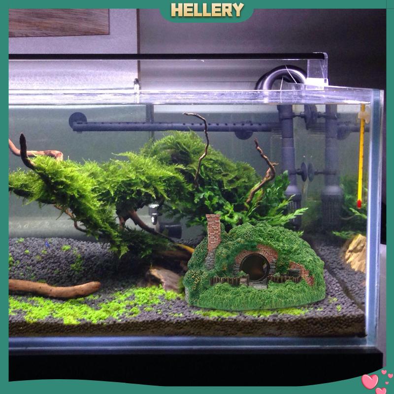 Hang Hang Hang Động Dùng Trang Trí Bể Cá