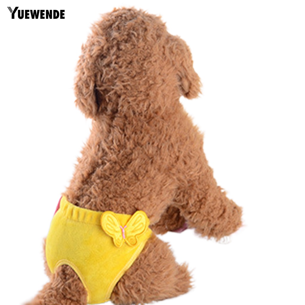 Đai Quấn Bụng Thấm Hút Tốt Có Thể Tái Sử Dụng Cho Thú Cưng