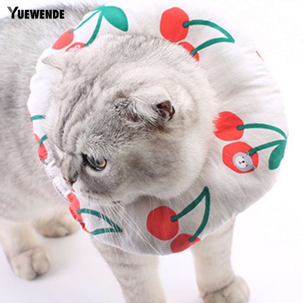 Vòng Cổ Bảo Vệ Cổ Có Thể Tái Sử Dụng Cho Thú Cưng