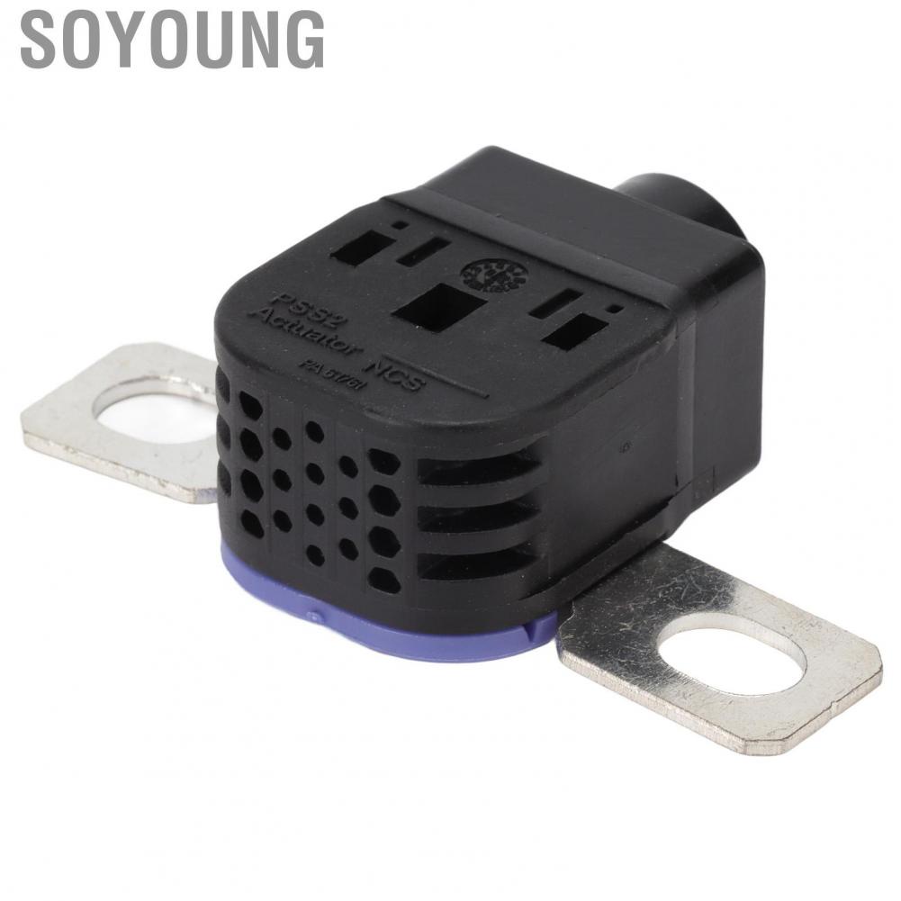 Soyoung Battery Disconnect Fuse Box Stable Current 4G0915519 Standard Size Overload Protector for Car Maintenance