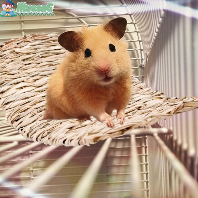 Thảm Rơm Bện Xinh Xắn Lót Chuồng Hamster / Thỏ / Hamster