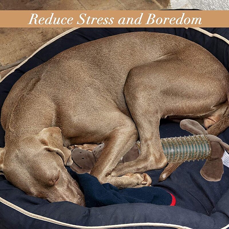 Đồ Chơi Nhai Gặm Hình Chiếc Răng Bằng Cao Su Nhồi Bông Trọng Lượng Nhẹ An Toàn Cho Thú Cưng