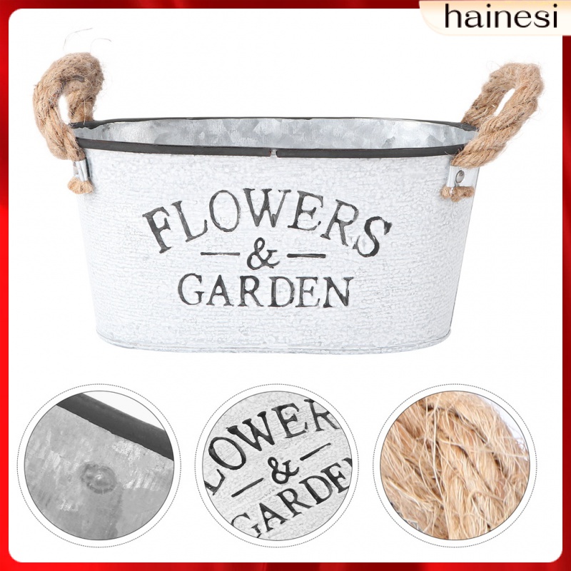 Chậu Hoa Bằng Thiếc Phong Cách Pháp Độc Đáo Trang Trí Nhà Cửa