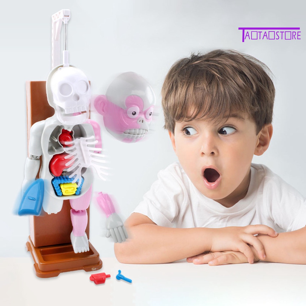 Set 37 Thẻ Ma Nơ Canh Phát Ra Âm Thanh Hóa Trang Halloween