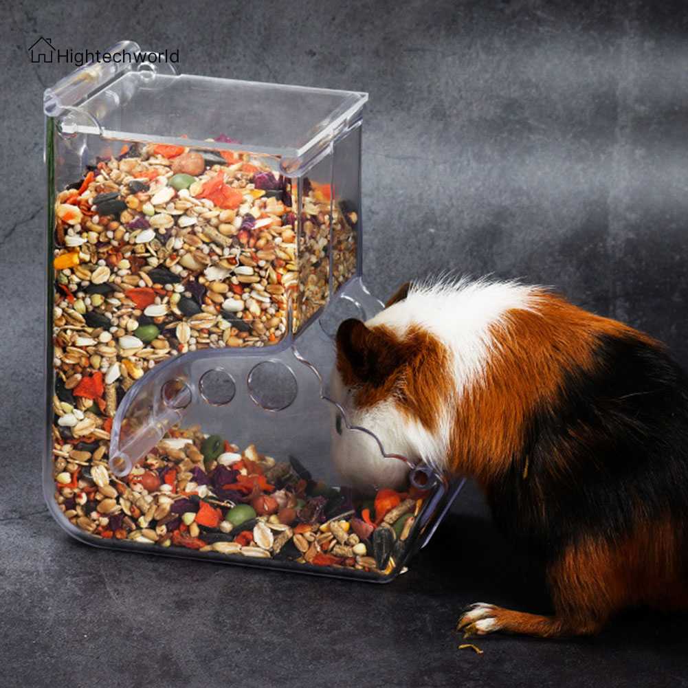 Tô Đựng Thức Ăn Tự Động Trong Suốt Cho Chuột Hamster