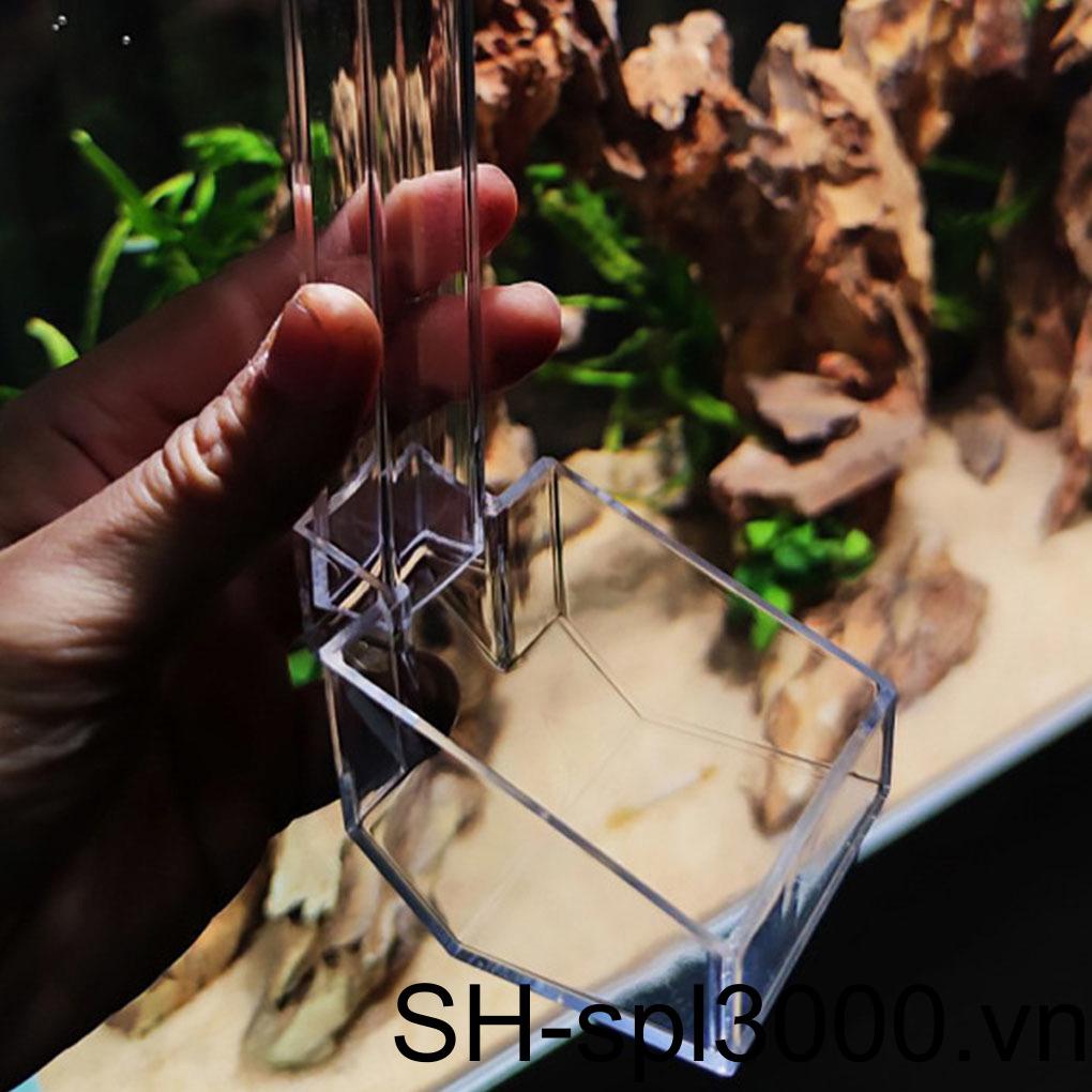 Ống Cho Cá Ăn Trong Suốt Có Thể Tháo Rời Tiện Dụng