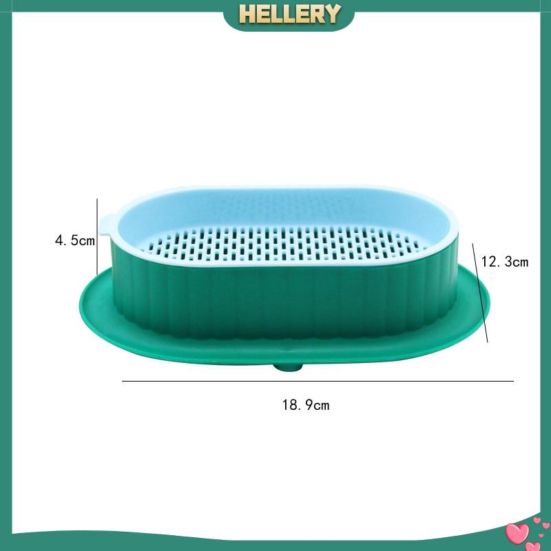 Khay Gieo Hạt Tiện Dụng Cho Nhà Kính