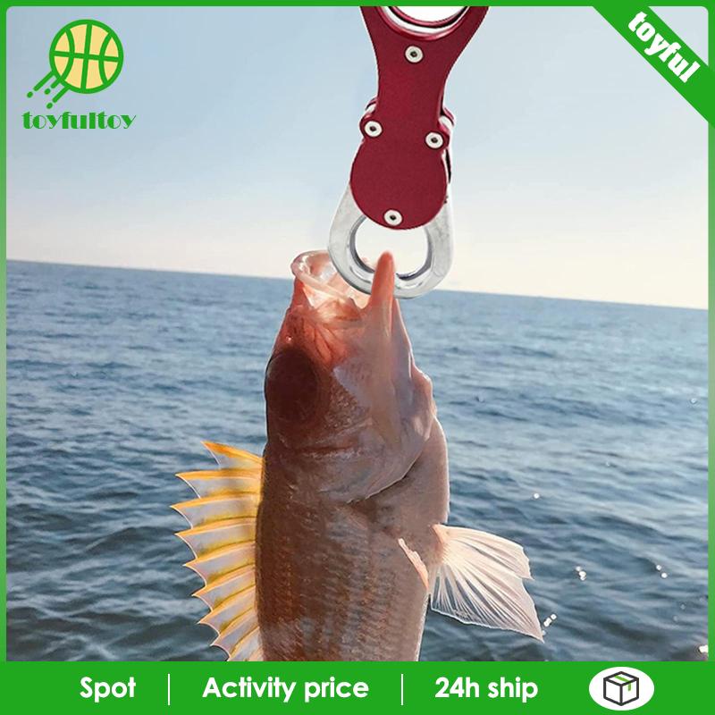 Kìm Kẹp Môi Cá Với Tay Cầm Chống Trượt Tiện Dụng