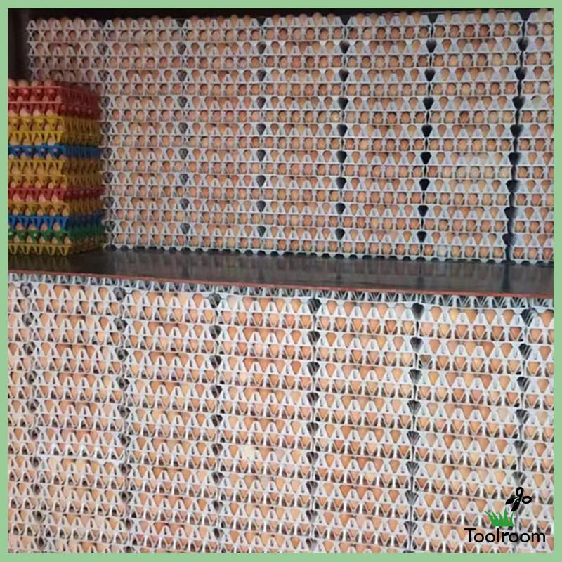 Set 20 Khay Đựng Trứng 30 Ngăn Có Thể Tái Sử Dụng