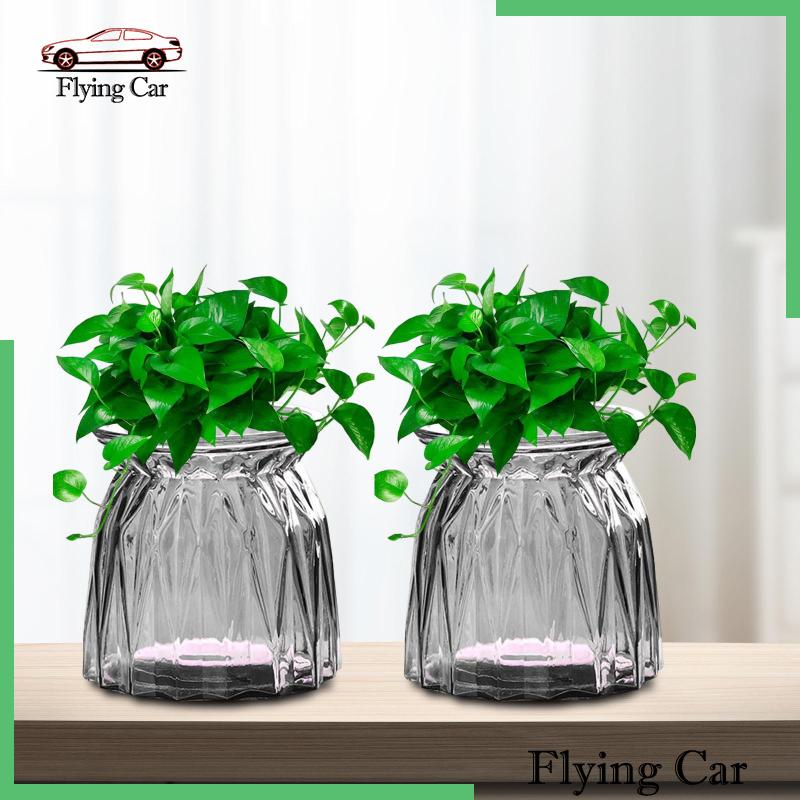 [Lzdjfmy2] 2 Bình Thủy Tinh Trồng Cây Cho Nhà Nông Trại Văn Phòng