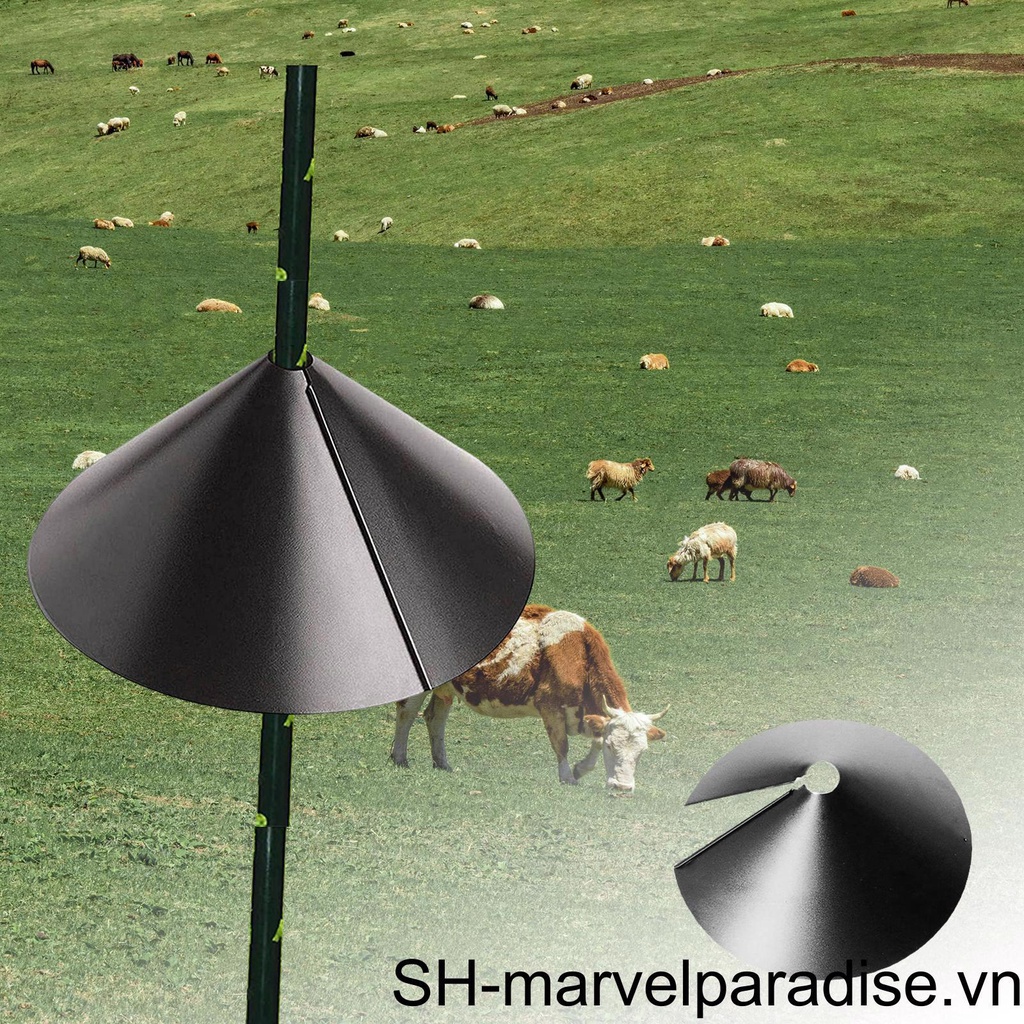 Dụng Cụ Bọc Bảo Vệ Vết Sóc Ăn Uống Treo Quanh Giường