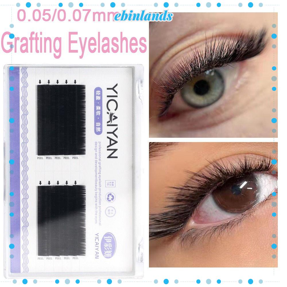 Lông Mi Giả Trang Điểm Tự Nhiên Lâu Trôi EBINLANDS