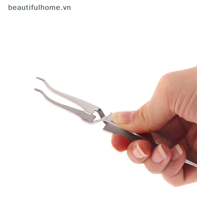 [beautifulhome] Nhíp Chỉnh Hình Chỉnh Hình Áp Phích s Buccal Lingual Nút Bonding [beauty]