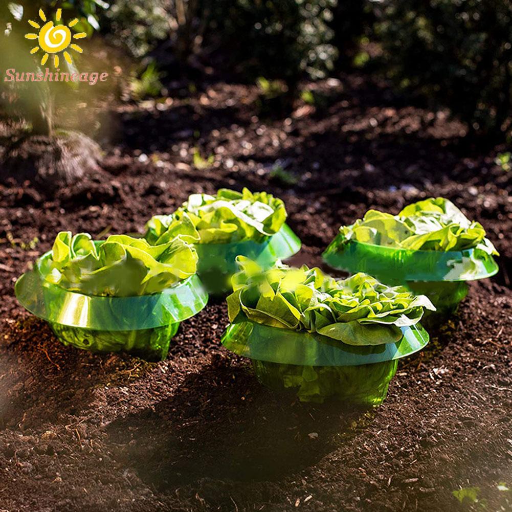 Bộ 1 / 6 Vòng Ốc Sên Bảo Vệ An Toàn Cho Sức Khỏe Tái Sử Dụng Được (16 Cái)