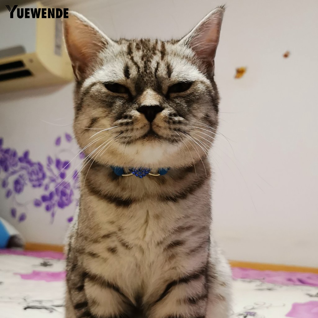 Vòng Cổ Nhiều Màu Sắc Thân Thiện Với Da Cho Thú Cưng