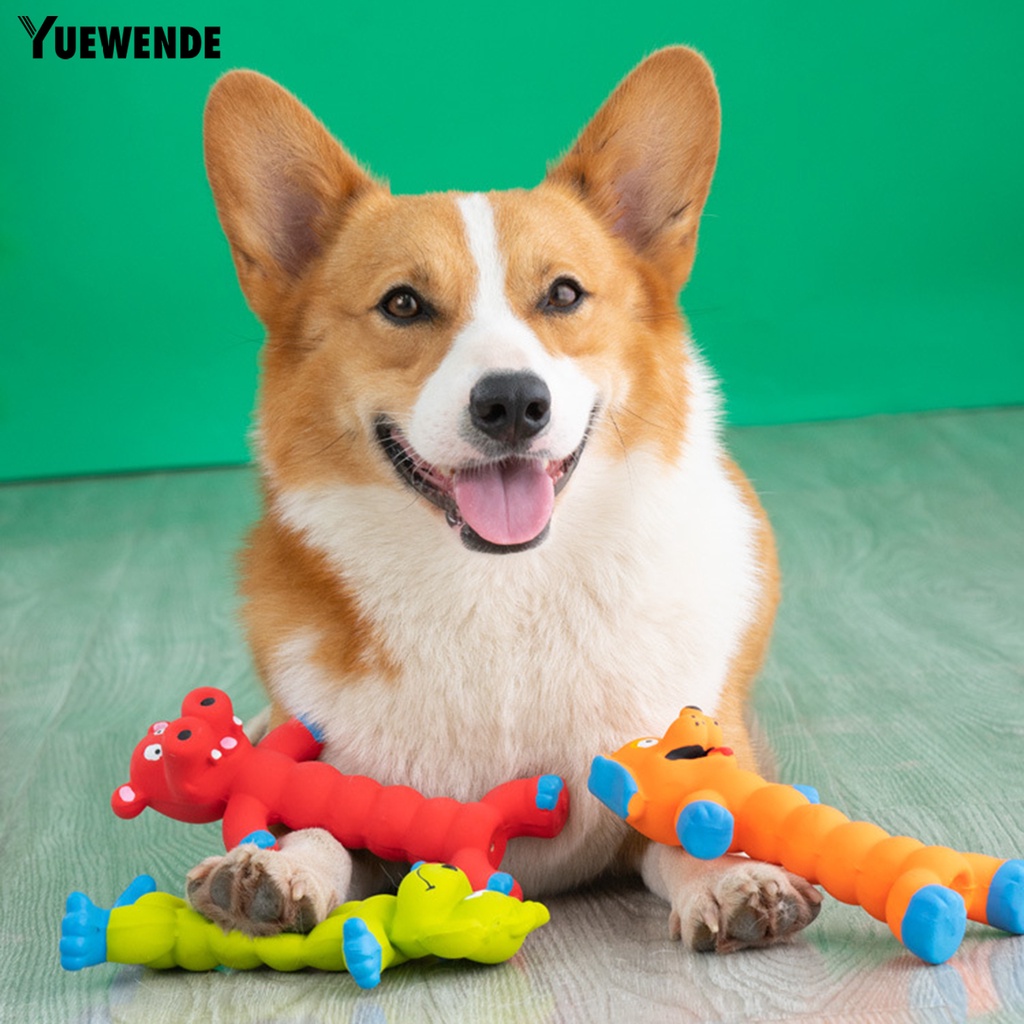 Đồ Chơi Gặm Chống Trầy Xước Chống Ăn Mòn Không Mùi Cho Thú Cưng