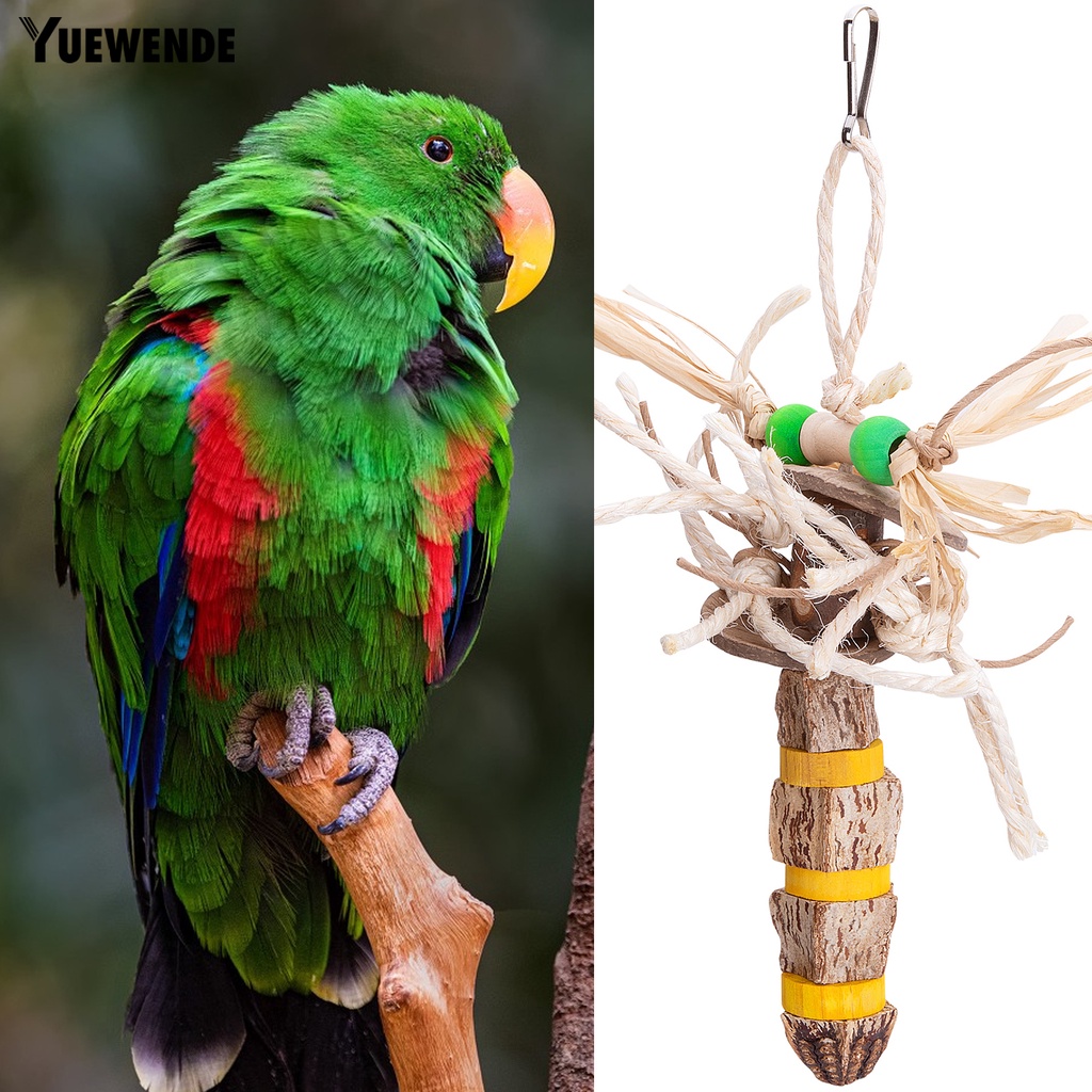 Đồ Chơi Vỏ Dừa Chống Cắn Dành Cho Chim Vẹt