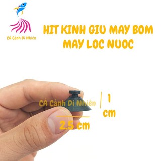 Hít kính giữ máy bơm lọc nước cho hồ cá cảnh
