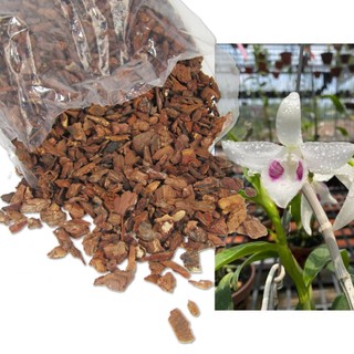 Vỏ thông trồng lan 500gram - đã qua xử lý