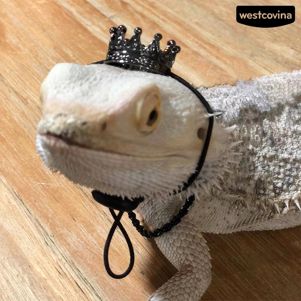 [COD]♞1 Set Tượng Thằn Lằn Mini Bằng Hợp Kim Dễ Thương Thoải Mái Có Khóa Điều Chỉnh Được