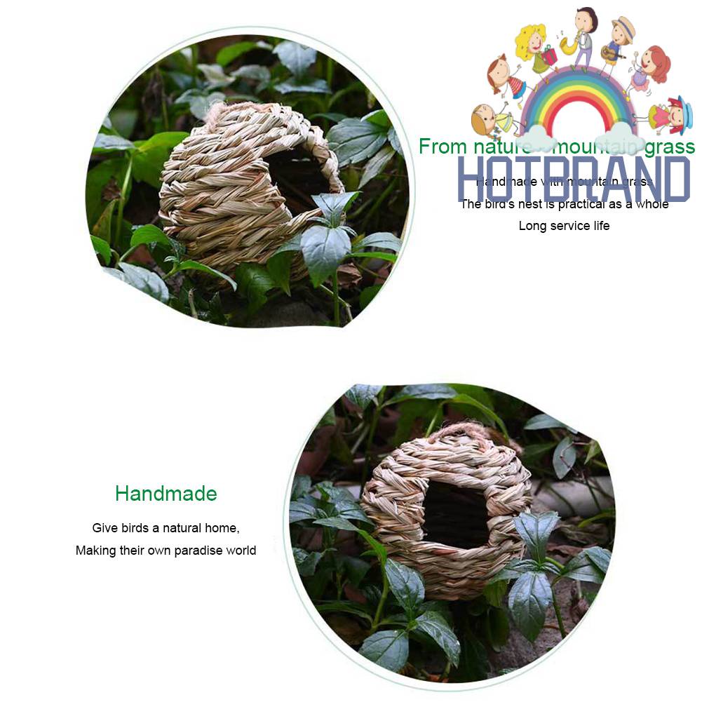 Tổ Chim Bằng Cỏ Tự Nhiên Dùng Trang Trí