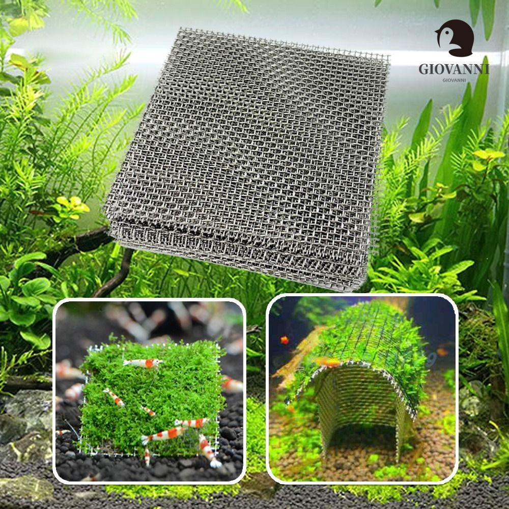 Set 2 Giá Đỡ Cố Định Cây Cảnh Bằng Thép Không Gỉ Trang Trí Bể Cá