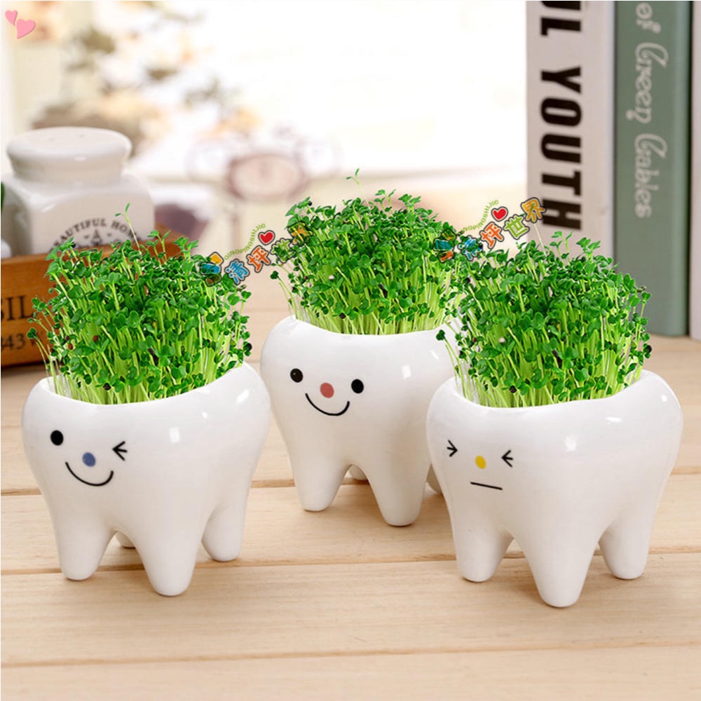 Chậu Cây Cảnh Bằng Gốm Sứ Màu Trắng Phong Cách Hiện Đại