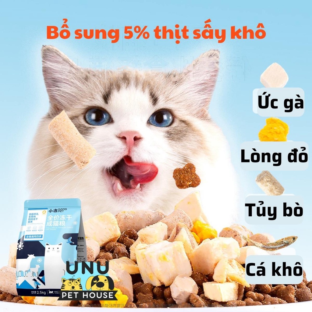 Hạt cho mèo DONGPET mix cùng thịt sấy khô chuyên dành cho mèo kén ăn gói dùng thử – UNU Pet House