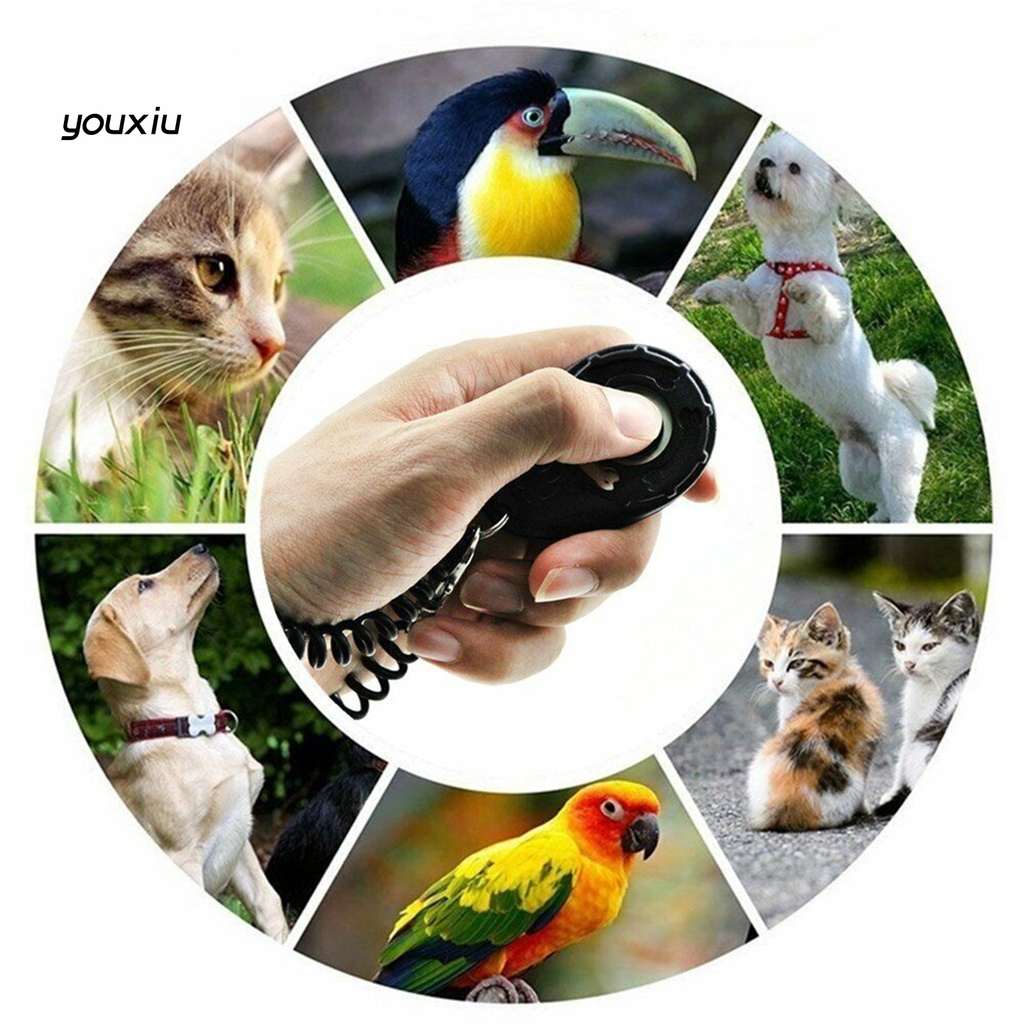 Yfp pet trainer hình bầu dục đàn hồi abs huấn luyện chó clicker cho ngoài trời