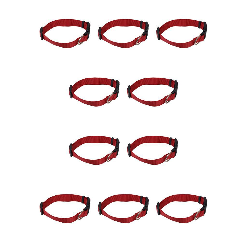 Vòng Cổ MềM MạI Cho Thú Cưng - Size 1 / 10 / 20