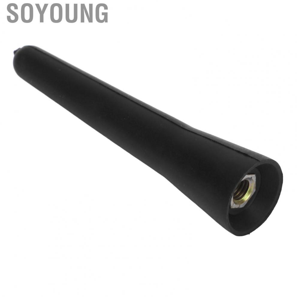 Soyoung Roof Mount Short  Size for Car