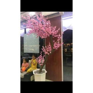 Cành đào giả làm cây