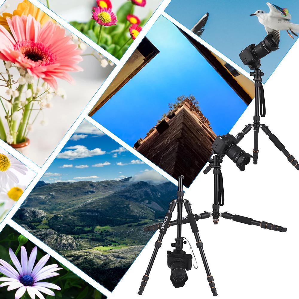 Gậy Ba Chân Bằng Hợp Kim Nhôm ZOMEI Q666 59inch Di Động Với Đầu Bi Tháo Gỡ Nhanh Cho Máy Ảnh DSLR