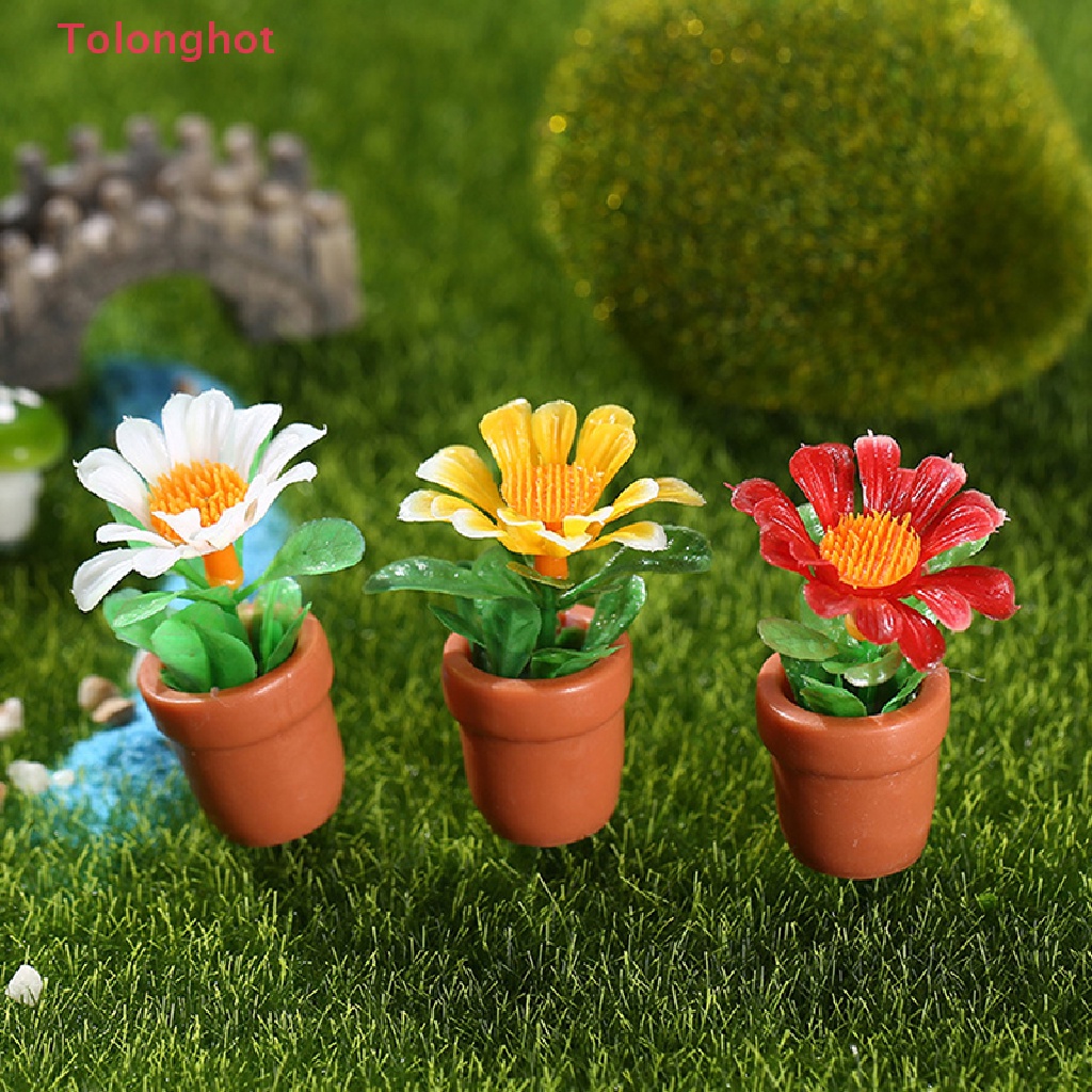 Bộ 5 Chậu Cây Mini Tỉ Lệ 1: 12 Dùng Trang Trí Nhà Búp Bê