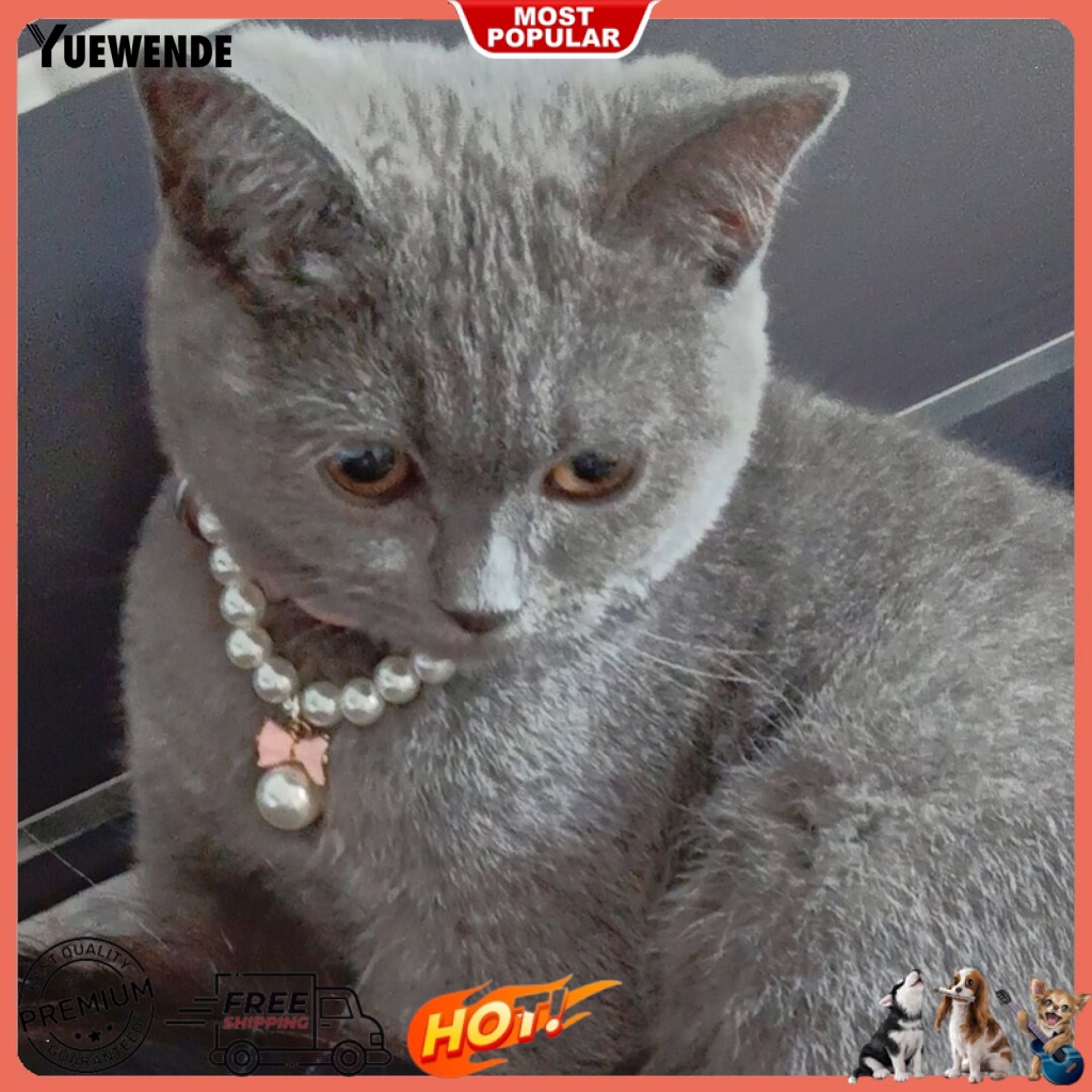 Vòng Cổ Bắt Mắt Dễ Thương Có Thể Điều Chỉnh Cho Thú Cưng