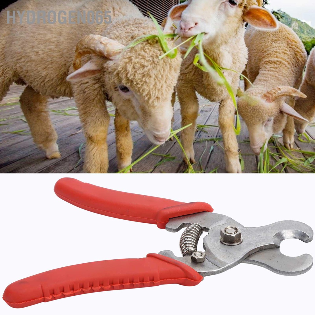 Hydrogen065 Dụng cụ gỡ thẻ tai bấm động vật bằng thép không gỉ cho Lợn Gia súc Cừu