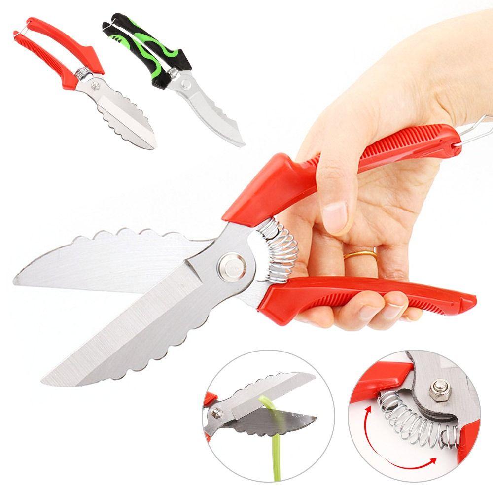 MAG Kéo Đa Năng Bằng Thép Carbon Chất Lượng Cao Dành Cho Nhà Bếp