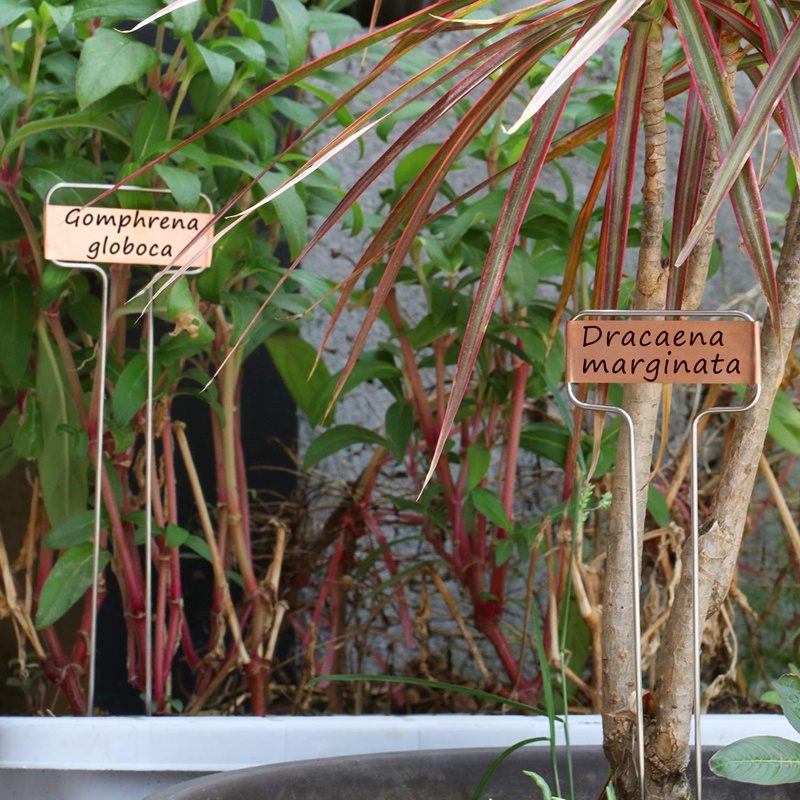 Set 30 Thẻ Đánh Dấu Cây Trồng 10 Inch Bằng Kim Loại Cao Cấp Tiện Dụng