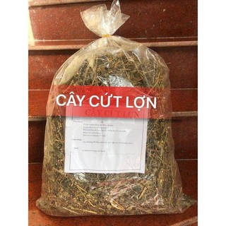 Cây cứt lợn khô 1kg