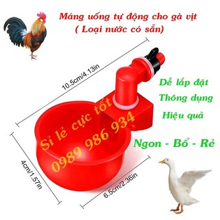 Máng uống tự động cho gà máng uống tự động cho chim cút máng uống tự động cho gà đẻ