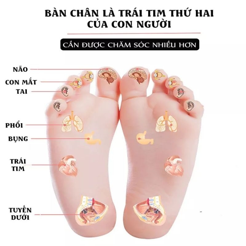 Thảm Massage Chân Xung Điện Máy mát xa chân EMS 8 chế độ, Thảm điện mát xa bàn chân thư giãn cơ bắp