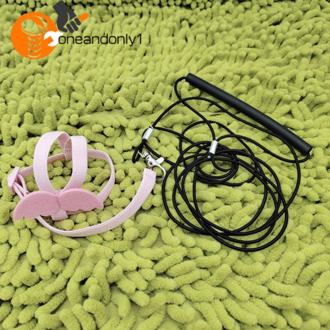 Dây Đai Dắt Chim Vẹt Đi Dạo Siêu Nhẹ Tùy Chỉnh Kèm Tay Cầm Thoải Mái Tiện Dụng