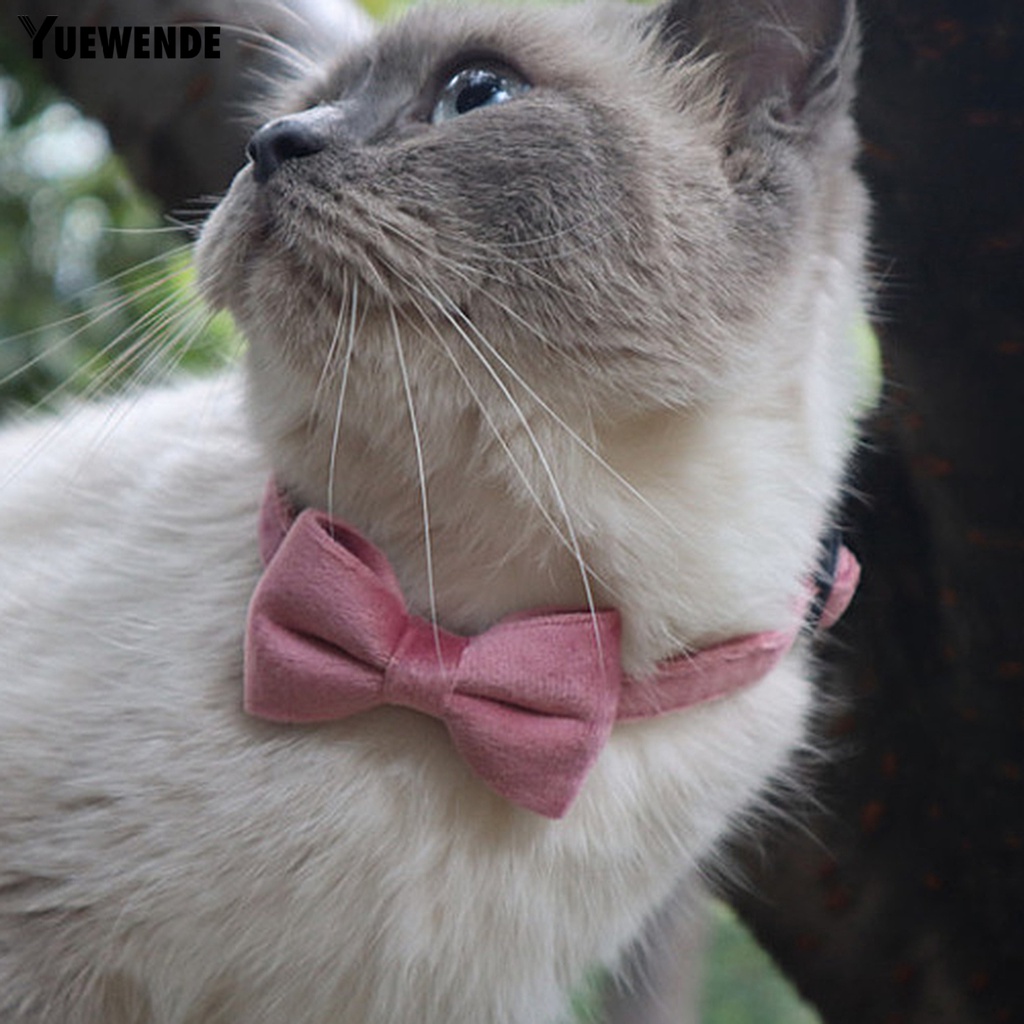 Vòng Cổ HìNh Nơ Xinh XắN Cho Thú Cưng