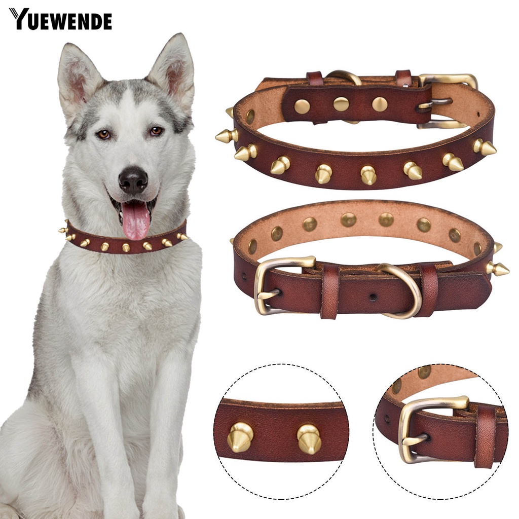 Vòng Cổ Hai Lớp Chống Cắn Dễ Điều Chỉnh Cho Thú Cưng Cỡ Vừa Và Lớn