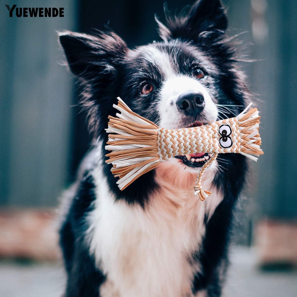 Đồ Chơi Nhồi Bông Phát Ra Âm Thanh Vui Nhộn Cho Thú Cưng